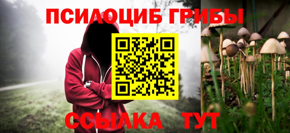 Галлюциногенные грибы Psilocybine cubensis  Галлюциногенные грибы Magic Shrooms  Вход с VPN  Кострома 